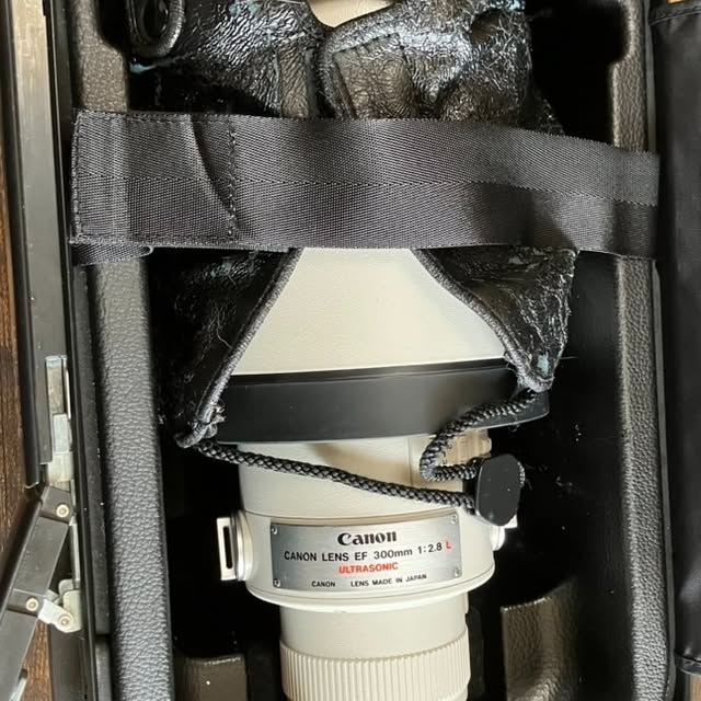 Canon EF 300mm F2.8Lの買取実績